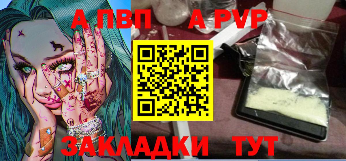 А ПВП крисы CK Асино