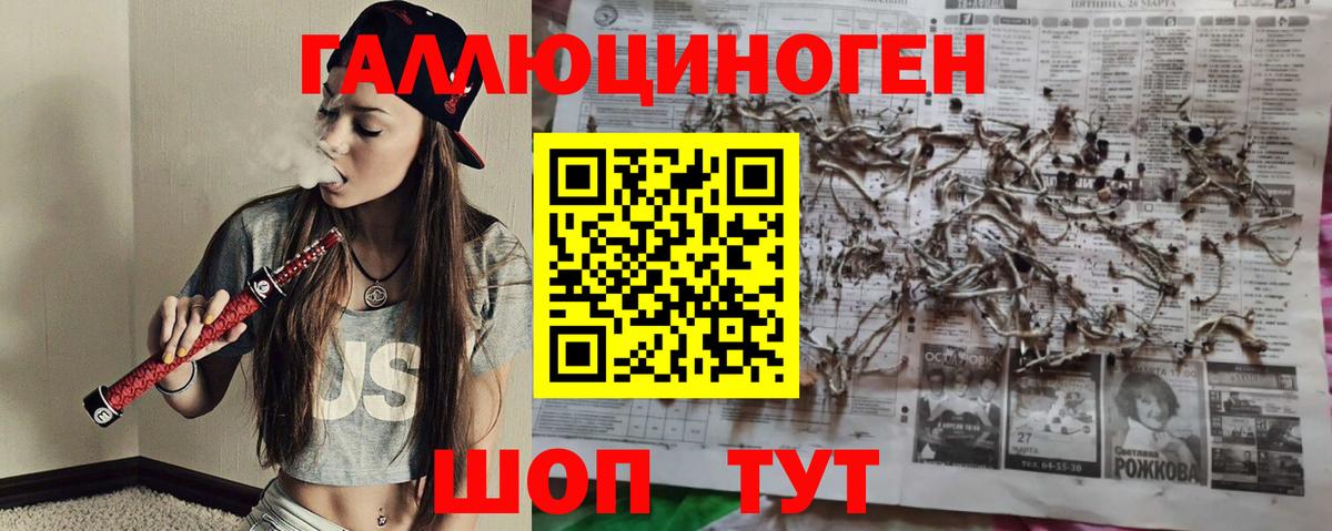 Псилоцибиновые грибы GOLDEN TEACHER Асино