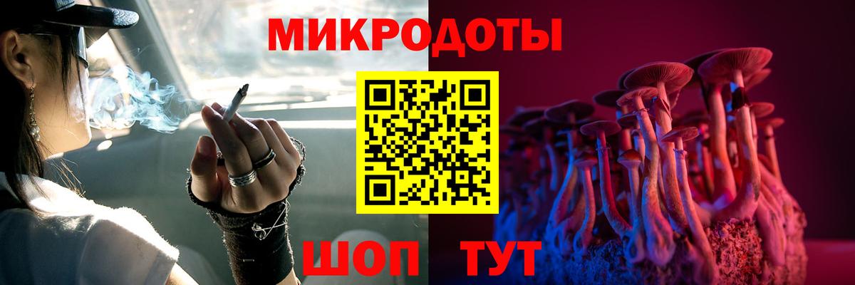 Асино  Псилоцибиновые грибы Cubensis  Вход с VPN 