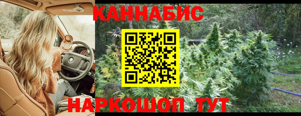 Канабис план Асино
